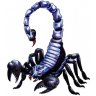 scorpions78