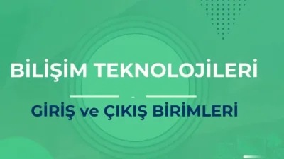 Giriş Ve Çıkış Birimleri