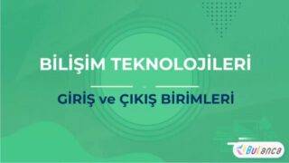 giriş ve çıkış birimleri