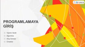 algoritma nedir