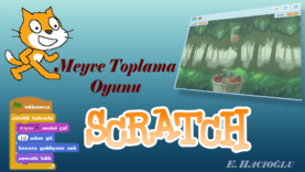 Scratch Meyve Toplama Oyunu