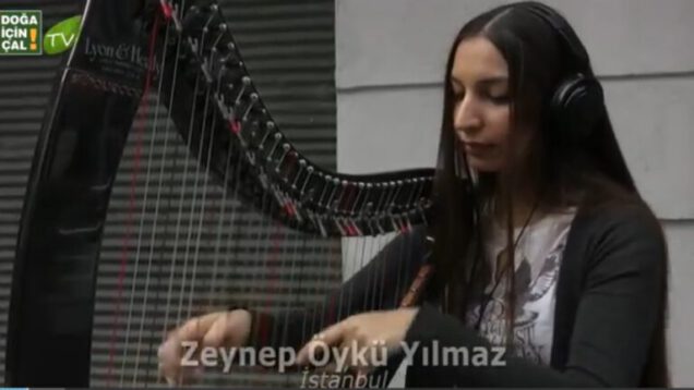 uzun ince bir yoldayım