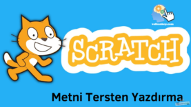 Scratch ile Girilen Metni Tersten Yazdırma