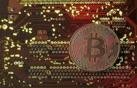 Bitcoin yatırımcılarına uyarı: Tüm paranızı kaybetmeye hazır olun !