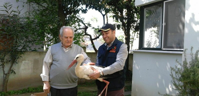 Yaralı leyleğe öğretmen çift sahip çıktı.