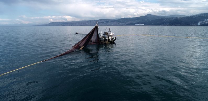 Uzmanlar uyardı: Marmara ve Karadeniz’deki dip balıkları çocuklara yedirmeyin