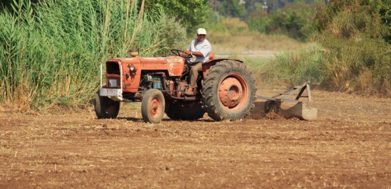 Çiftçilerin yüzde 61’inin geliri azaldı: B planları yok