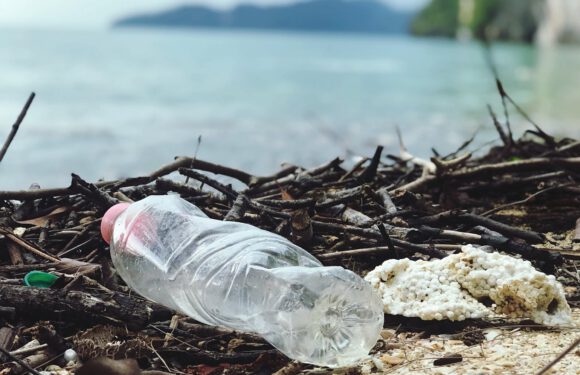 Yaz aylarında plastik kullanımına dikkat