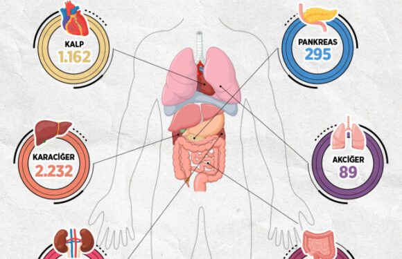 Türkiye’de 26 bin 667 hasta organ nakli bekliyor