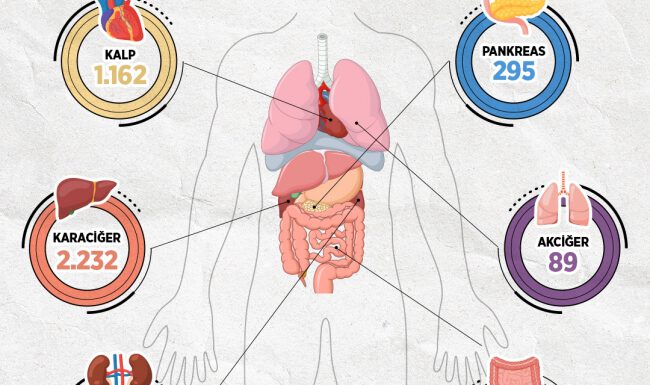 Türkiye’de 26 bin 667 hasta organ nakli bekliyor