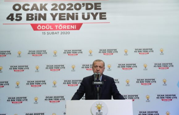 Cumhurbaşkanı Erdoğan: Rejim çekilmezse şubat ayı bitmeden bu işi yapacağız