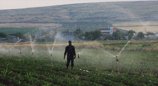 Tarım Kredi’den bitki korumada dışa bağımlılığı azaltacak yatırım