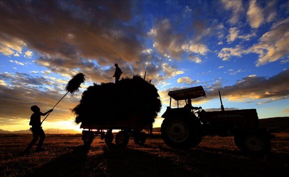 Tarım Kredi’den 2,5 milyar liralık ürün alım hedefi