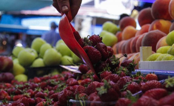 Uzak Doğu’ya tarım ürünü ihracatındaki engeller kalkıyor