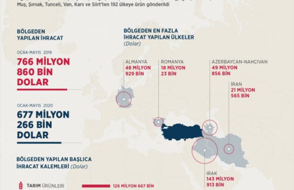 Doğu Anadolu’dan 5 ayda 677 milyon dolarlık ihracat