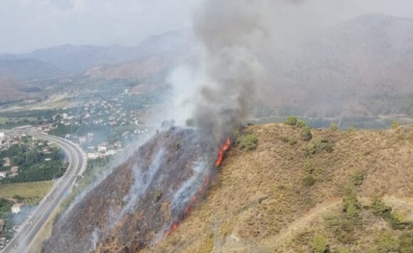 Muğla’da orman yangını