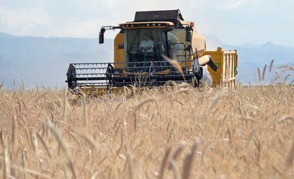 Tarım sektörü salgına rağmen büyümeye devam ediyor