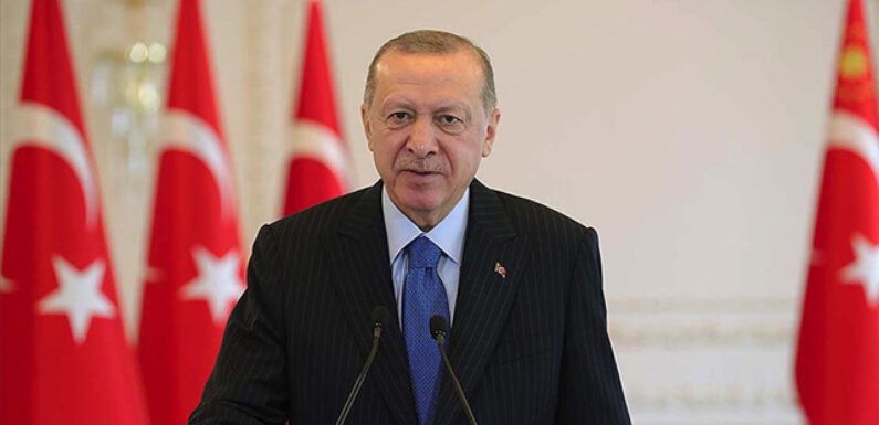 Erdoğan: Milletimizi küresel rüzgarların önünde savurmak isteyenlere meydanı bırakmayacağız