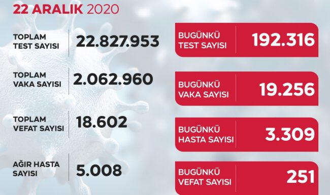 Son 24 saatte 19 bin 256 yeni vaka tespit edildi