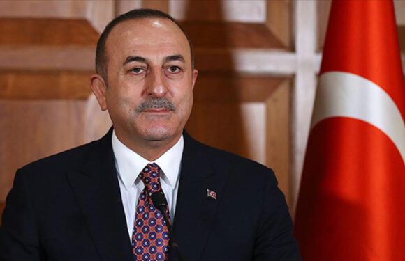 Bakan Çavuşoğlu: AB ilişkilerinde pozitif atmosferin oluşturulması önemli