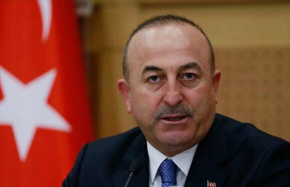 Bakan Çavuşoğlu: Türk halkı geleceğini AB’de görüyor