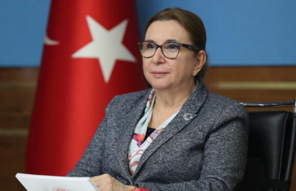 Bakan Pekcan: Eşitsizlikler giderilmeli