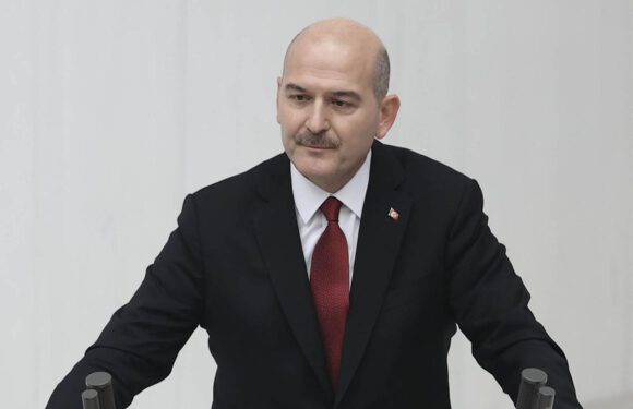 Bakan Soylu: Yurt içindeki terörist mevcudu yüzde 87 azaldı