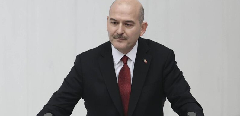 Bakan Soylu: Yurt içindeki terörist mevcudu yüzde 87 azaldı