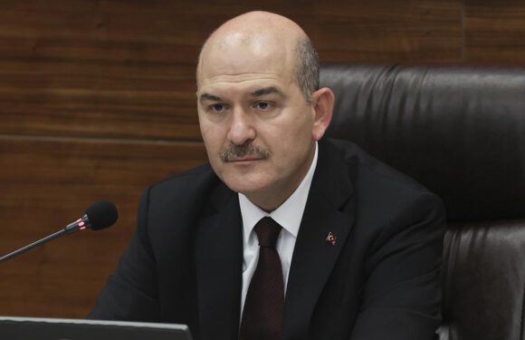 Bakan Soylu’dan ‘militan’ sözüne tepki