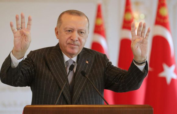 Cumhurbaşkanı Erdoğan bugünkü mesaisini paylaştı