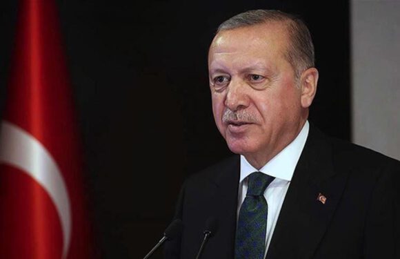 Cumhurbaşkanı Erdoğan, haberleşme uygulamaları BiP ve Telegram’a katıldı