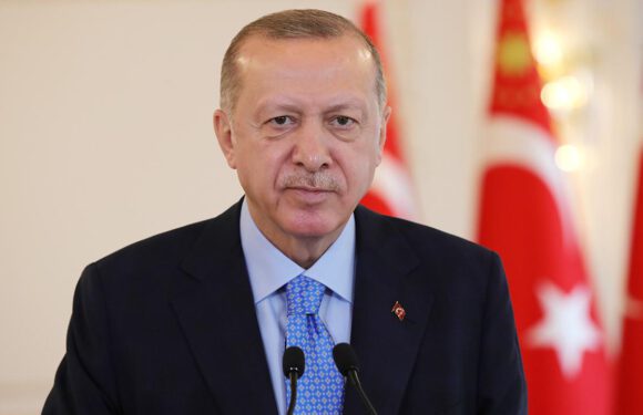 Cumhurbaşkanı Erdoğan’dan Boğaziçi tepkisi: Fikir özgürlüğüyle ilgisi yok