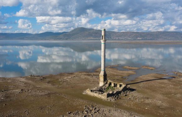 İklim değişikliğiyle mücadele için ‘İklim Kanunu’ hazırlanacak