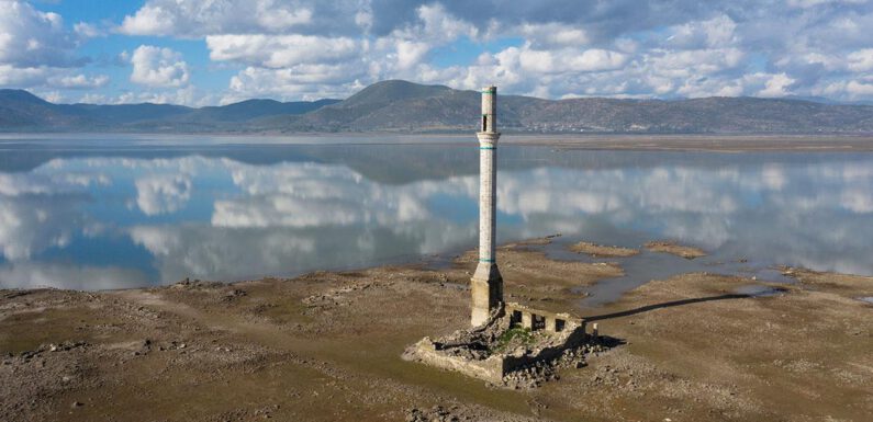 İklim değişikliğiyle mücadele için ‘İklim Kanunu’ hazırlanacak