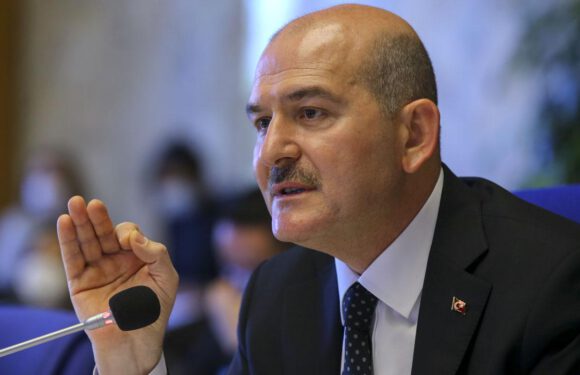 Bakan Soylu’dan Twitter’a tepki