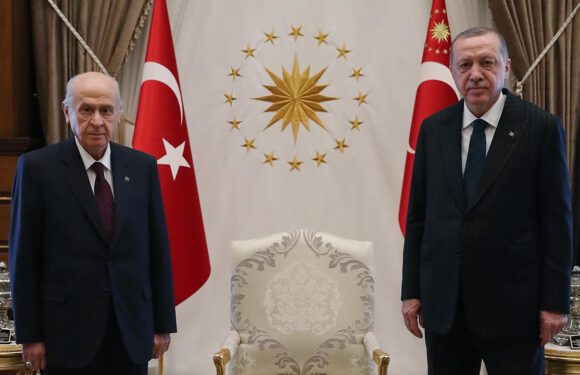 Cumhurbaşkanı Erdoğan, Bahçeli ile görüşecek