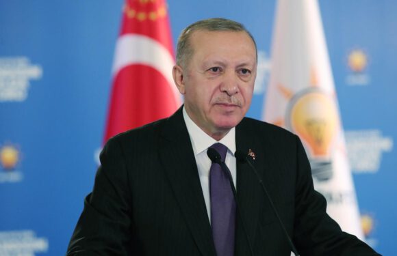 Cumhurbaşkanı Erdoğan: Tuzakları boza boza yürüyoruz