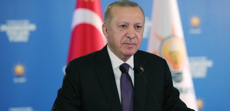 Cumhurbaşkanı Erdoğan: Tuzakları boza boza yürüyoruz