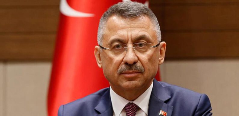 Cumhurbaşkanı Yardımcısı Oktay’dan Cüceloğlu için taziye mesajı