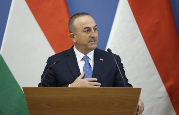 Dışişleri Bakanı Çavuşoğlu: Sözümüzü tuttuk ve düzensiz göçü engelledik