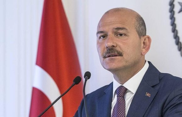 Bakan Soylu’dan Thodex’in kurucusunun iadesine ilişkin açıklama