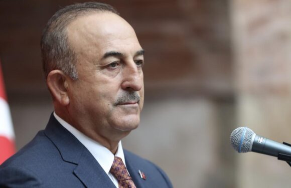 Bakan Çavuşoğlu: Ukrayna ve Rusya gübresinin uluslararası piyasalara gitmesi konusunda çaba sarf ediyoruz