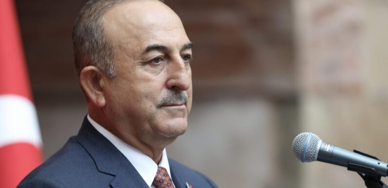 Bakan Çavuşoğlu: Ukrayna ve Rusya gübresinin uluslararası piyasalara gitmesi konusunda çaba sarf ediyoruz