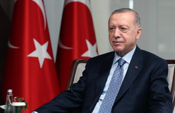 Cumhurbaşkanı Erdoğan: Barış için işgal edilen toprakların geri verilmesi çok önemli