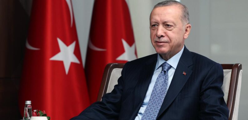 Cumhurbaşkanı Erdoğan: Barış için işgal edilen toprakların geri verilmesi çok önemli