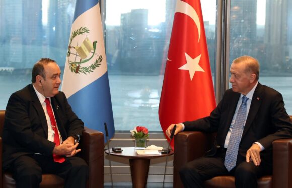 Cumhurbaşkanı Erdoğan Guatemala Cumhurbaşkanı Falla ile görüştü