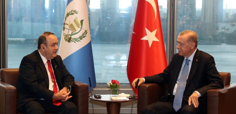 Cumhurbaşkanı Erdoğan Guatemala Cumhurbaşkanı Falla ile görüştü