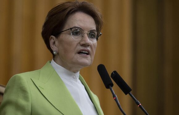 Meral Akşener: Suriyeilerin her şartta dönmesini sağlamayı hedefliyoruz