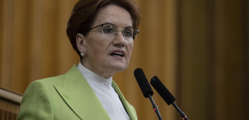 Meral Akşener: Suriyeilerin her şartta dönmesini sağlamayı hedefliyoruz