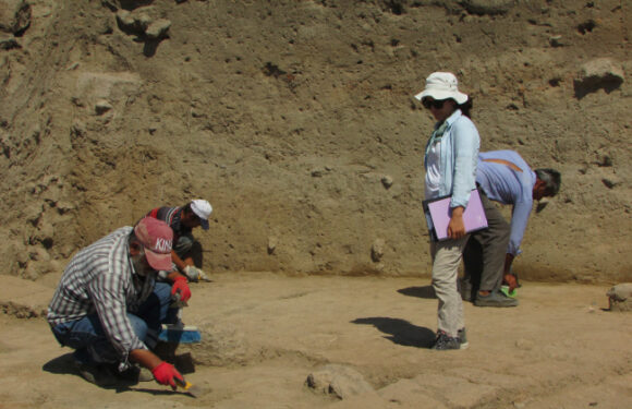 Taşlıgeçit Höyüğü’de ikinci dönem kazılarına başlandı